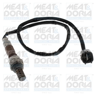 Oxygen Sensor